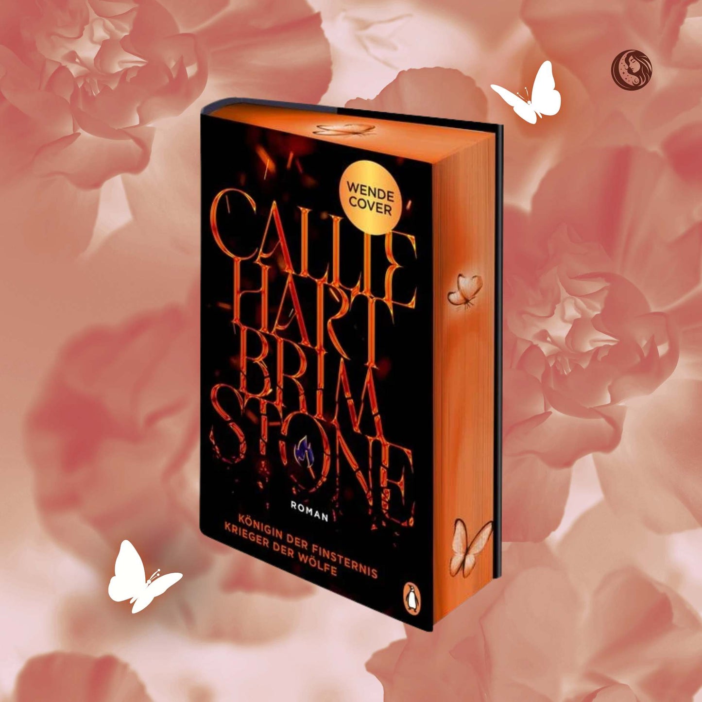 Brimstone - Verlagsausgabe - jetzt vorbestellen - Mondlicht Bücher
