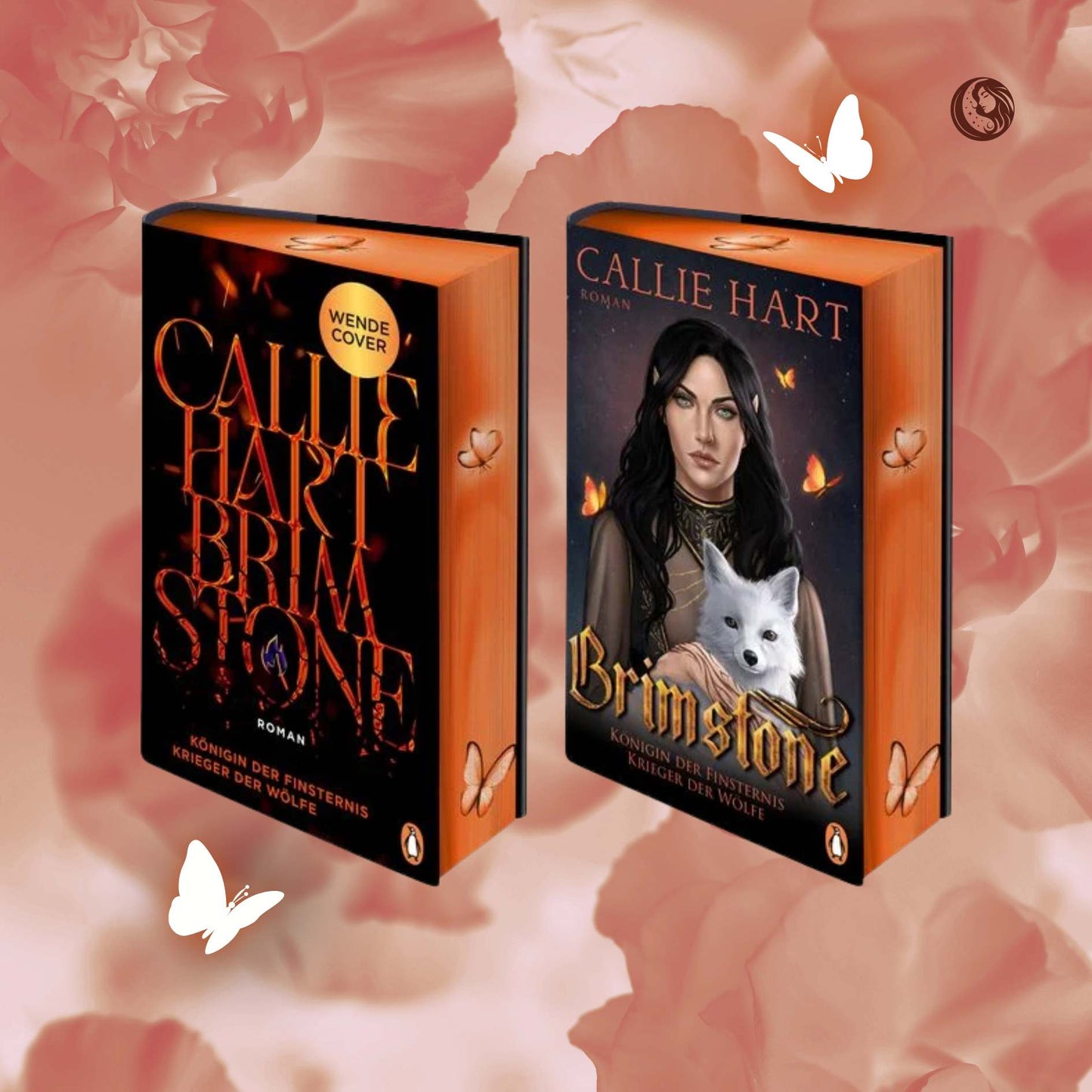 Brimstone - Verlagsausgabe - jetzt vorbestellen - Mondlicht Bücher