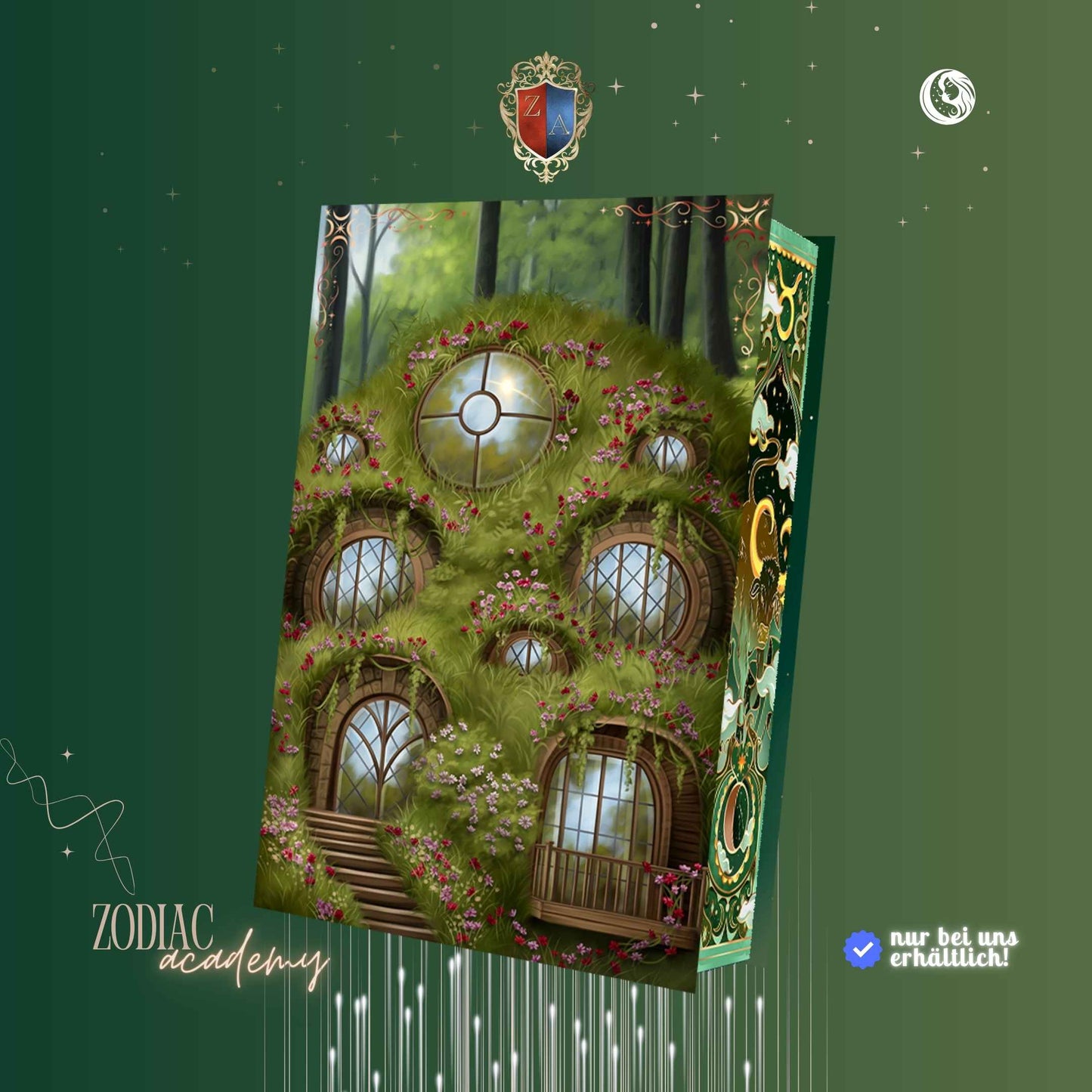 Zodiac Academy 4: Die Schattenprinzessin - Special Edition