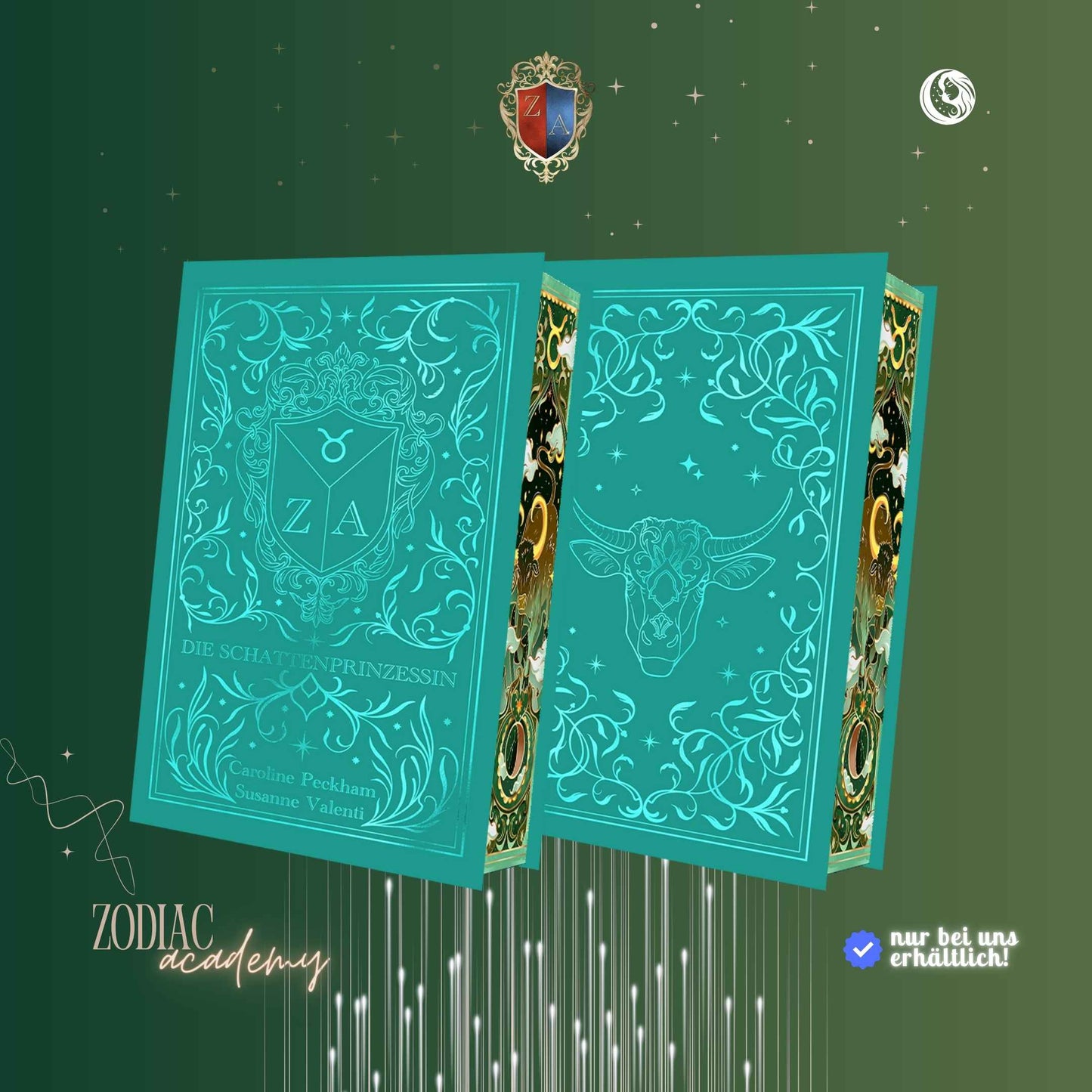 Zodiac Academy 4: Die Schattenprinzessin - Special Edition
