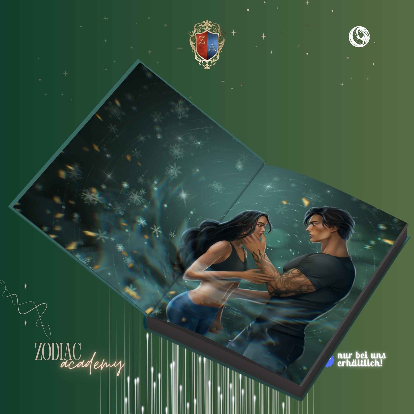 Zodiac Academy 4: Die Schattenprinzessin - Special Edition